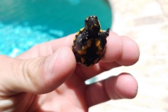 20180822_130441-scaled