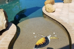 pool-cleaning-gallery-ultimate-pool-care-swfl-8th-june-2020-32-scaled