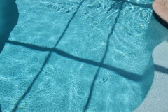 pool-cleaning-gallery-ultimate-pool-care-swfl-8th-june-2020-91-scaled