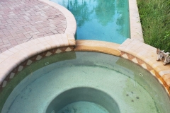 pool-cleaning-gallery-ultimate-pool-care-swfl-8th-june-2020-97-scaled