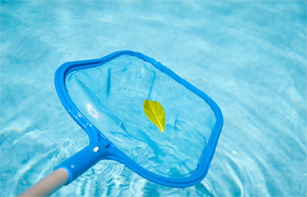 swimming-pool-skimmer-blue-with-leaf
