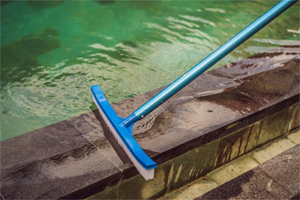 pool scrubbing-brush-blue
