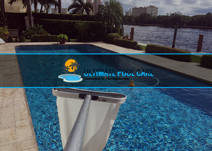 swimming-pool-cleaning-with-mesh-pool-skimmer